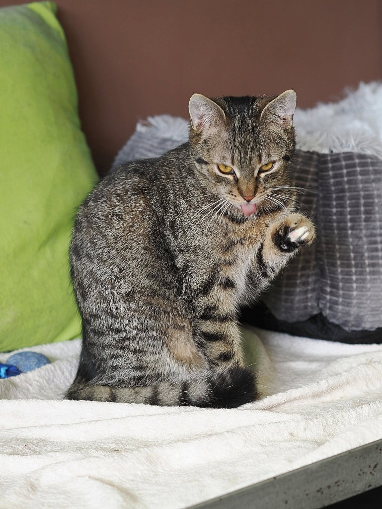 Adoptusie. Majka i Olek