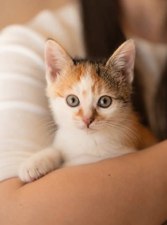 Wanda, Fryderyk i Ludwik – w domach :)