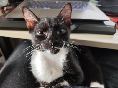 Adoptusie. Słoneczko
