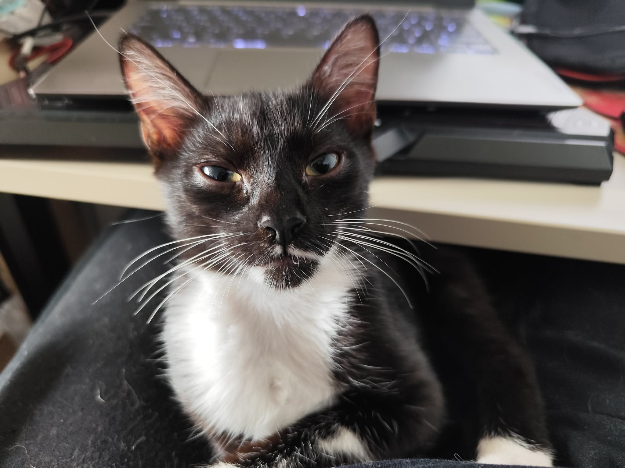 Adoptusie. Słoneczko