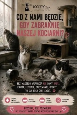 Kryzys w kociarni
