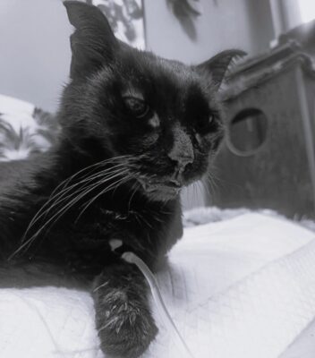 Baltazar