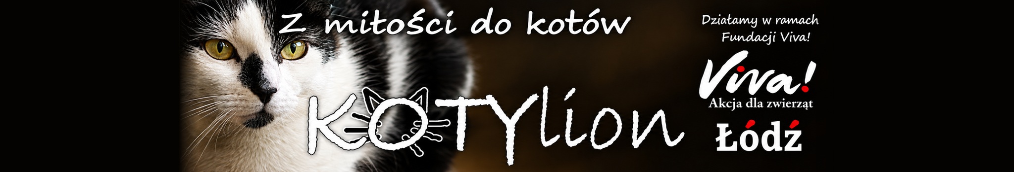 KOTYlion logo