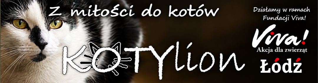 KOTYlion logo mobile