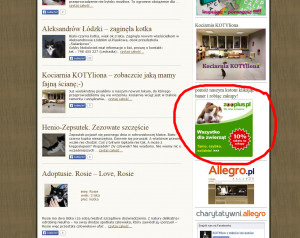 Jak możesz pomóc?